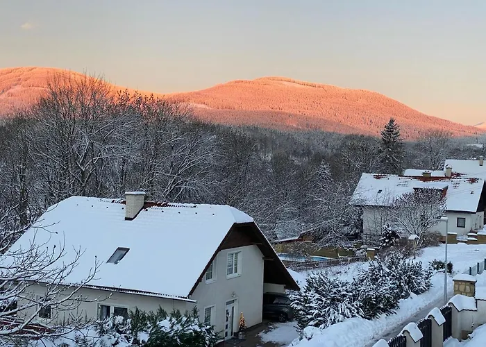 Pod Lesem Svoboda nad Úpou
